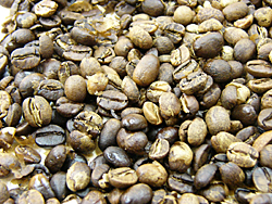 コーヒー豆　自家焙煎　8.この時、少し油がでて、皮がむけてきます